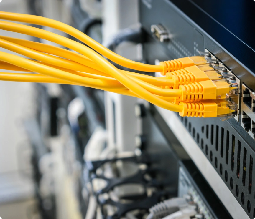 Close-up of a bundle of yellow cables neatly plugged into ports.