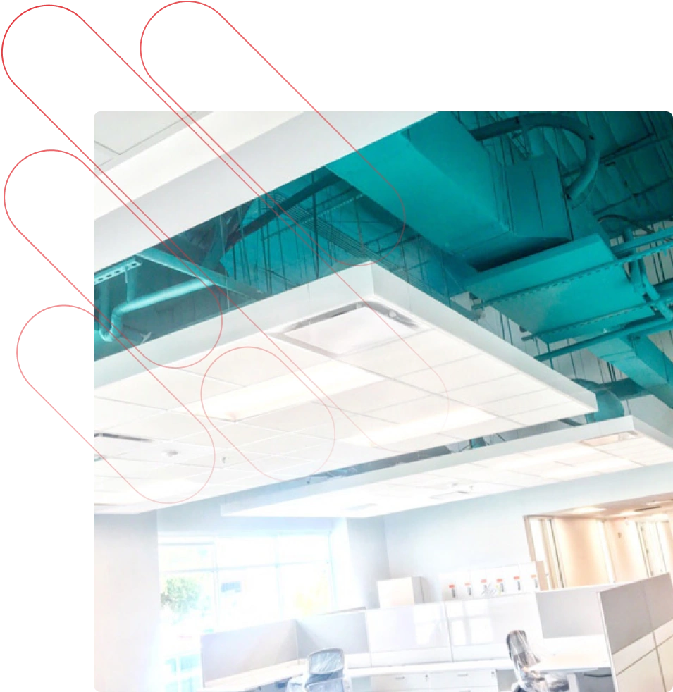 View of an office's structured cabling above the ceiling tiles.