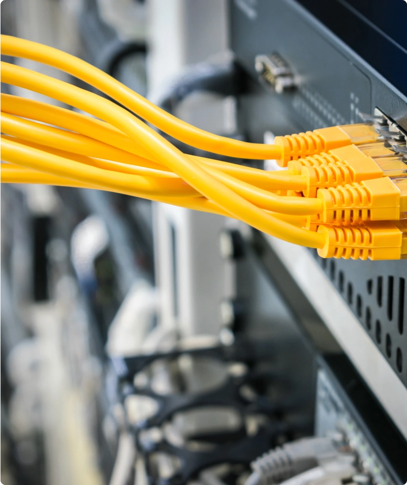 Close-up of a series of yellow cables neatly plugged into a server.