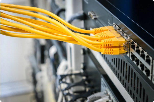 Close-up of a structured cabling setup made of yellow cables.